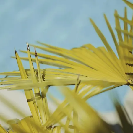 Winzerhof Keller Apartment