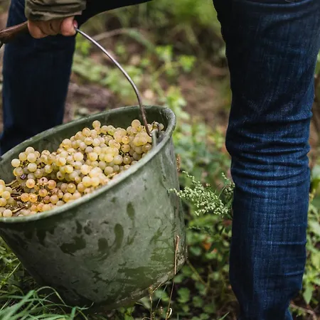 Winzerhof Keller Apartamento Auggen