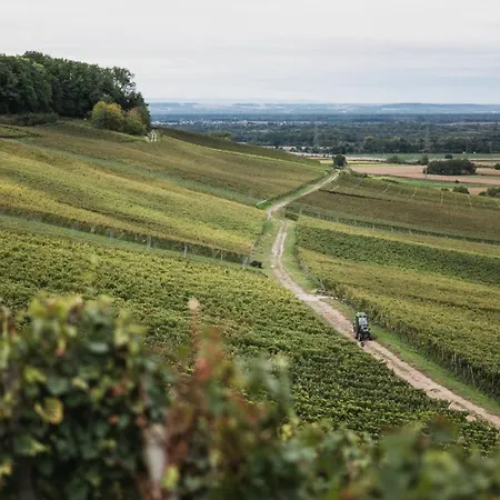 Winzerhof Keller Appartamento