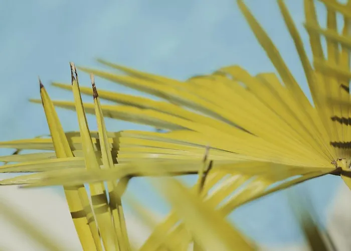 Winzerhof Keller Apartament