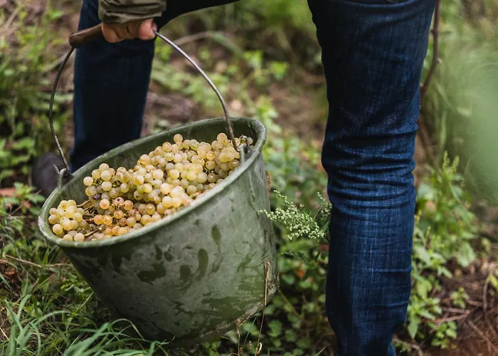 Winzerhof Keller Apartamento Auggen